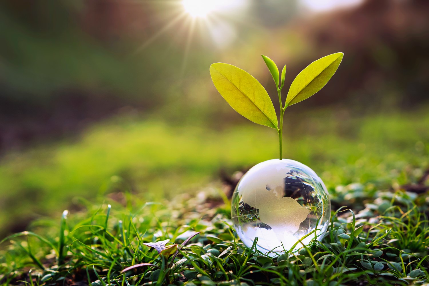 Key Findings From A Study On The Divergence Of ESG Ratings key-findings-from-a-study-on-the-divergence-of-esg-ratings